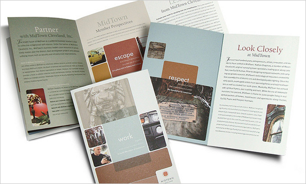thiết kế brochure đơn giản tinh tế
